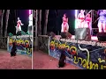 Lagu Stray Dog Enjoys Coyote Dancer Show