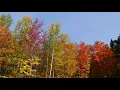 Colorful Fall Foliage in The Maine Highlands