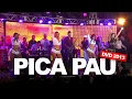 Lagu PICA PAU - Forró Cintura de Mola (DVD 2013 EM HD)