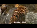 葉倩文《祝福》 拜託清風 奉上衷心 祝福千串... Sally Yeh ♥ ♪♫*•♪