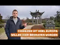 Lagu Deze Chinese begraafplaats in Zwolle is beroemd in heel Europa