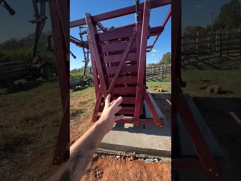 chegou mais bicho