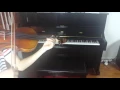 European tone wood violin ebay yourdealscenter