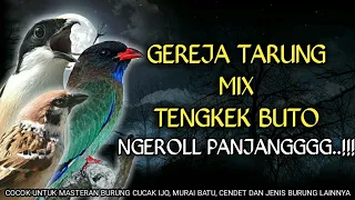 ngeriiii masteran gereja tarung kombinasi tengkek buto