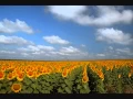 Download Lagu Slavujev poj (Pesma rastanka)