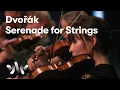 Antonín Dvořák: Serenade for Strings | NCO · Tønnesen