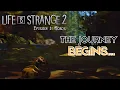 Download Lagu LIVE | Life is Strange 2 – The Journey Starts Here 🌲