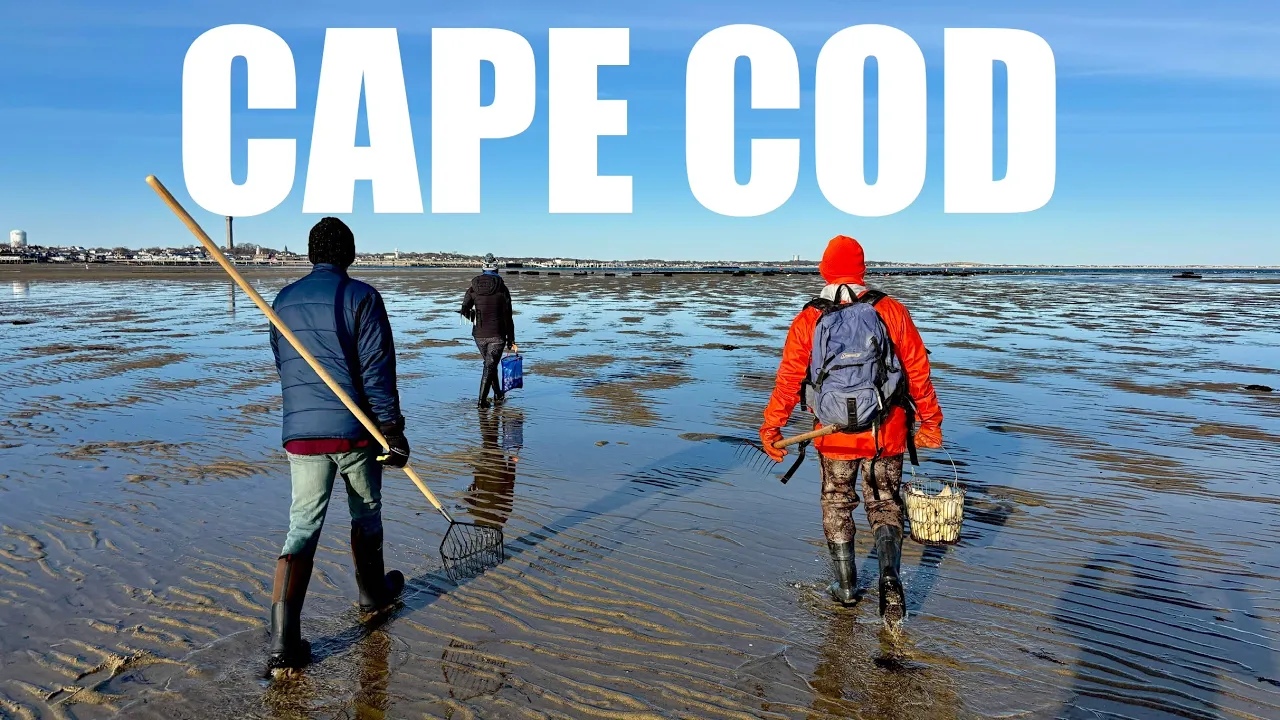 Youtube Thumbnail 474f525151654463516b6f 