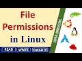 Understanding Permissions for files and directories read write execute