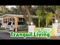 Welcome to 3048 Vine Lane in Sebring Florida