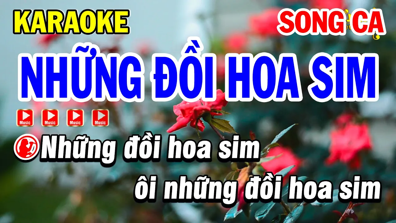 Karaoke Những Đồi Hoa Sim Song Ca Nhạc Sống Dễ Hát - Karaoke Phi Long