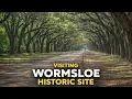 Wormsloe Historic Site - Savannah GA