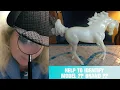 Identify These 2 Breyer Horse Models Breyerfest 2021