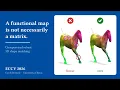 Hyper-Network Neural Functional Maps for Unsupervised Robust 3D Shape Matching ECCV 2026