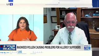 Ragweed alert How to reduce your allergy symptoms