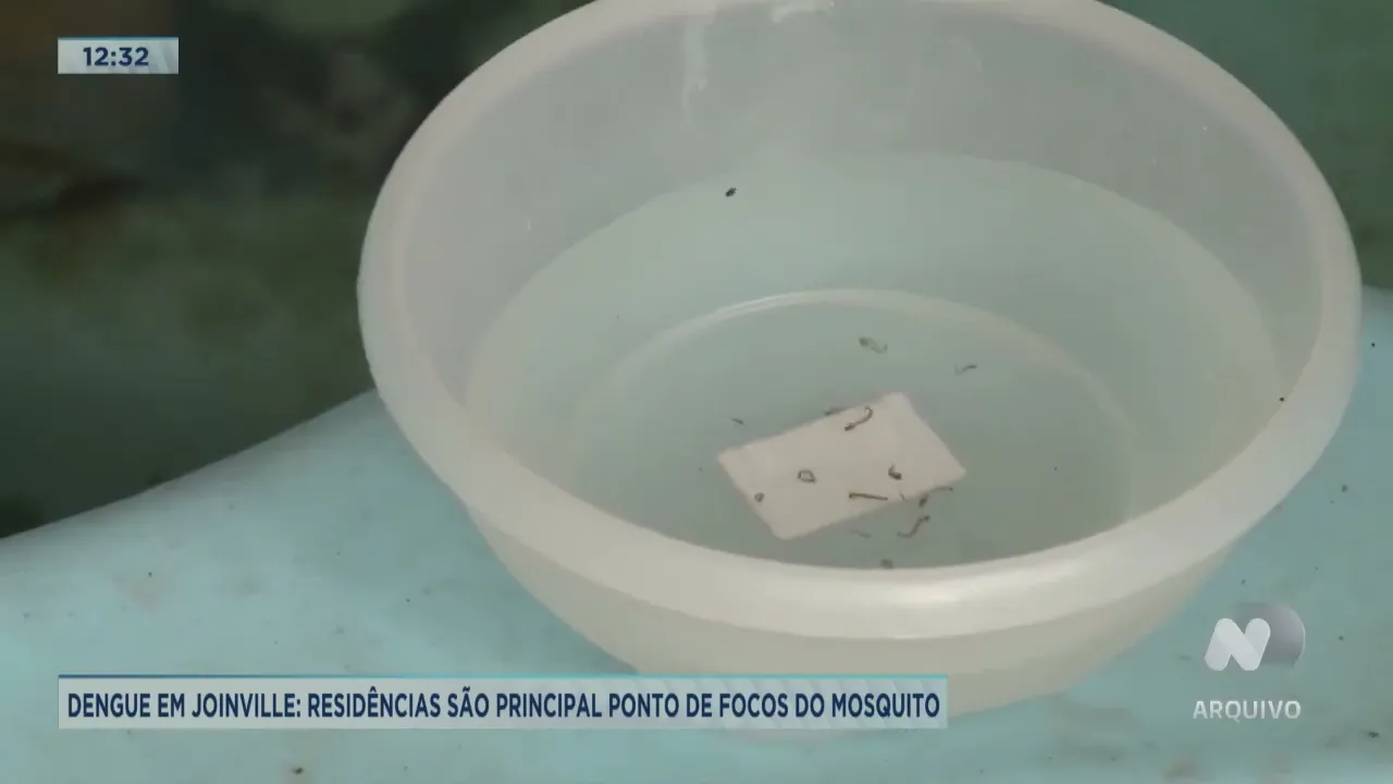 Dengue em Joinville: residências são principal ponto de focos do mosquito