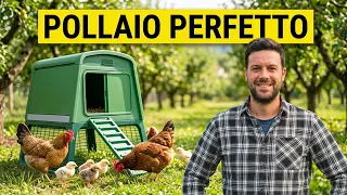 POLLAIO PERFETTO: la GUIDA DEFINITIVA per non sbagliare
