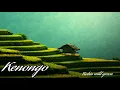 Backsound music gamelan | kenongo | No Copyright - Robin Wild Green