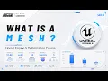 What Is a Mesh - Unreal Engine 5 Optimization Course