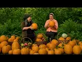 Massive Pumpkin Harvest in the Village Garden