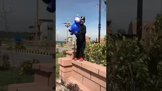 Gay Gay Gay Wapis Aa Gai Gay Cow Trending 