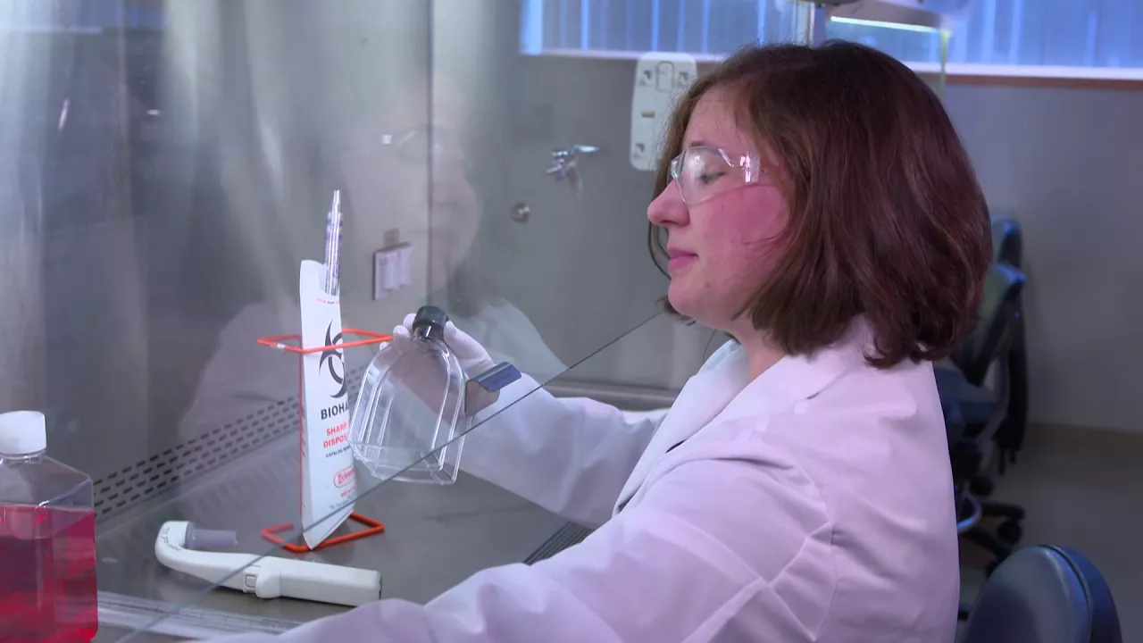 Reducing Cell Culture Contamination: Aseptic Technique