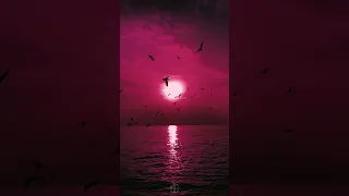 Rai 2018 Cheb Mourad يا حصراه كي كنتي تبغيني 