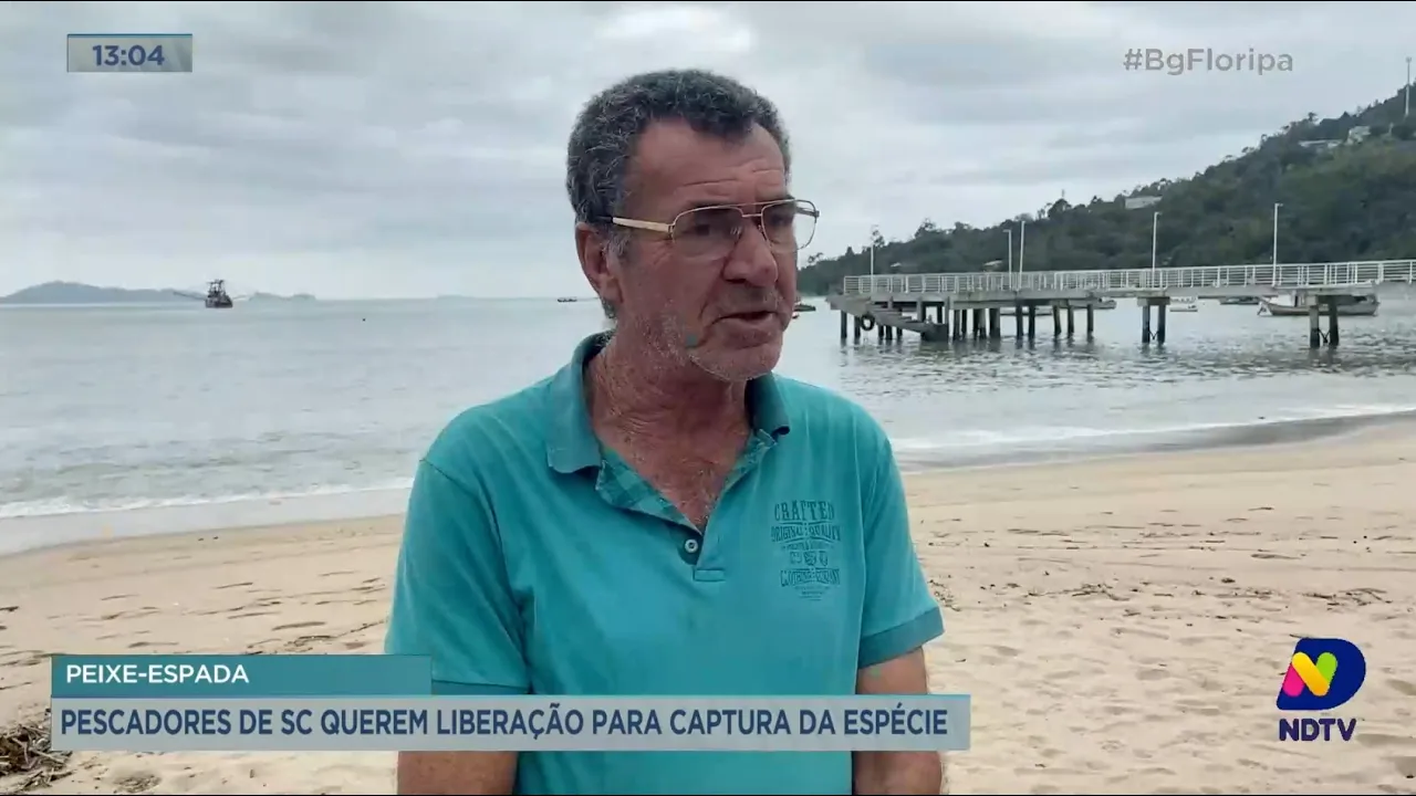 Peixe-espada: pescadores de SC querem liberação para captura da espécie