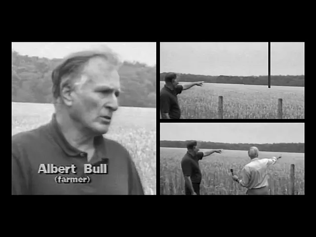 Albert Bull