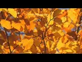 Vitor Kley - O Sol (English subs)