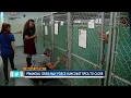 Suncoast SPCA to close