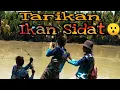 Download Lagu 🔴AIR SUNGAI KERUH IKAN SIDAT KELUAR SEMUA// MANCING IKAN SIDAT