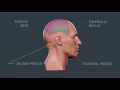 Danckuts - The future of Hair