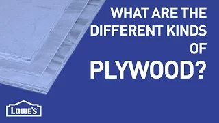Which Plywood Should I Use DIY Basics