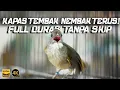 Download Lagu MASTERAN BURUNG KAPAS TEMBAK NEMBAK TERUS FULL DURASI!! - PLUS JEDA - COCOK UNTUK MASTERANMU!