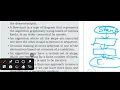 Introduction to Problem Solving NCERT Class 11 Computer Science Summary