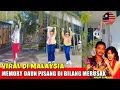Lagu VIRAL MEMORY DAU PISANG DI MALAYSIA DI BILANG INDONESIA MERUSAKAN MALAYSIA