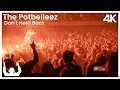 Download Lagu SYNTHONY -  The Potbelleez 'Don't Hold Back' (Live) | ProShot 4K