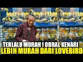 Download Lagu GA TEGA LIAT KIOS KAKEK INI JUAL RATUSAN KENARI WARNA SEMURAH INI BIAR KIOS RAME LAGI