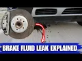 Brake Fluid Leak Explained Causes Symptoms Solutions