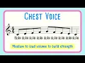 5 Minute Vocal Warm Up Female #2 - Improve Your Singing Fast!