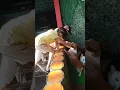 Download Lagu Anjing Corgi yang RAMAH. Sinka Zoo, Singkawang, KalBar