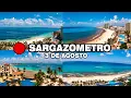 Sargazo Hoy en Cancun y Playa del Carmen SARGAZOMETRO 3 de Agosto