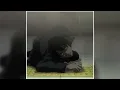 Mattyeux, Princess Chelsea - Sometimes (Light, DeathNote)