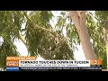 EF-1 tornado touched down in Tucson NWS confirms