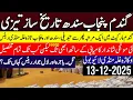 Lagu Today Wheat price in punjab//گندم کا ریٹ 2025/munji makki till sarso/Galla mandi rate today