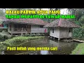 Download Lagu Wah..Air Pusaka Muncul Di Halaman Rumah Si Emak. Siapapun Pasti Ingin Memilikinya.
