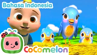 Lagu burung biru yang indah | CoComelon Bahasa Indonesia - Lagu Anak Anak | Nursery Rhymes
