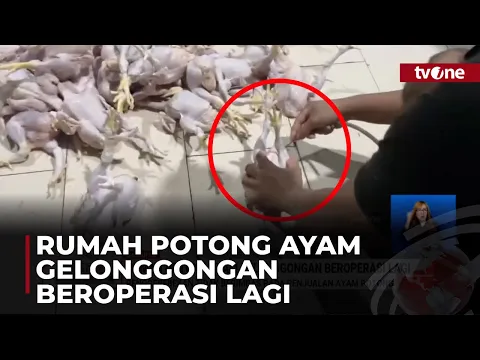 Usai Penggerebekan, Rumah Potong Ayam Gelonggongan Beroperasi Seperti Biasa