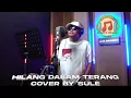 Download Lagu HILANG DALAM TERANG 💥 Ami Search || Cover Sule #Mp3